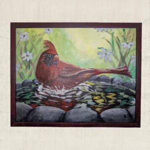 Kardinaal in het Vogelbad – Kardinaal schilderij acryl (50×40 cm) met lijst