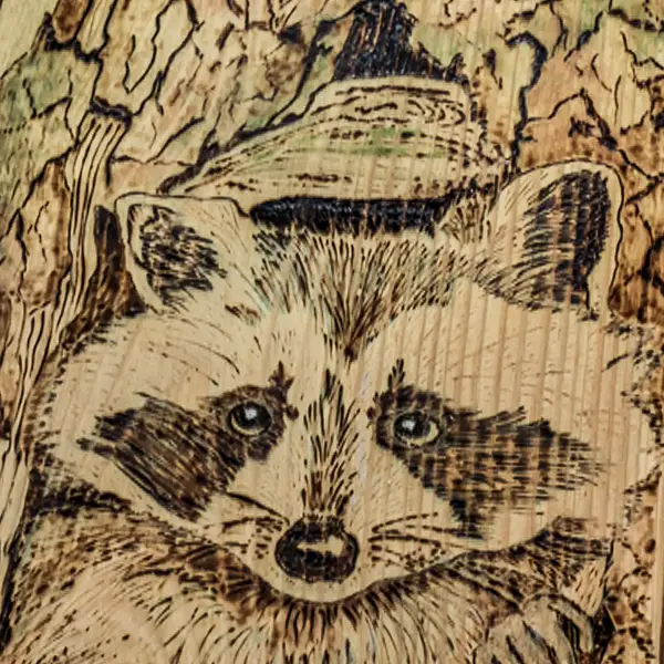 Bosmoment – Pyrografie wasbeer op hout (58×23 cm)