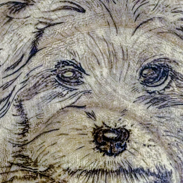 Pyrografie puppy – handgebrand op pauwlonia hout (circa 30 cm)