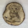 Pyrografie van een puppy, handgebrand op paulownia hout