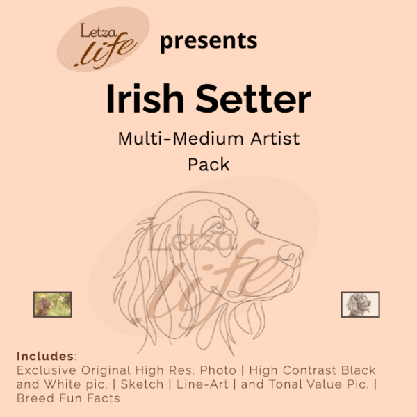 Digitale patronen Ierse Setter artist pack