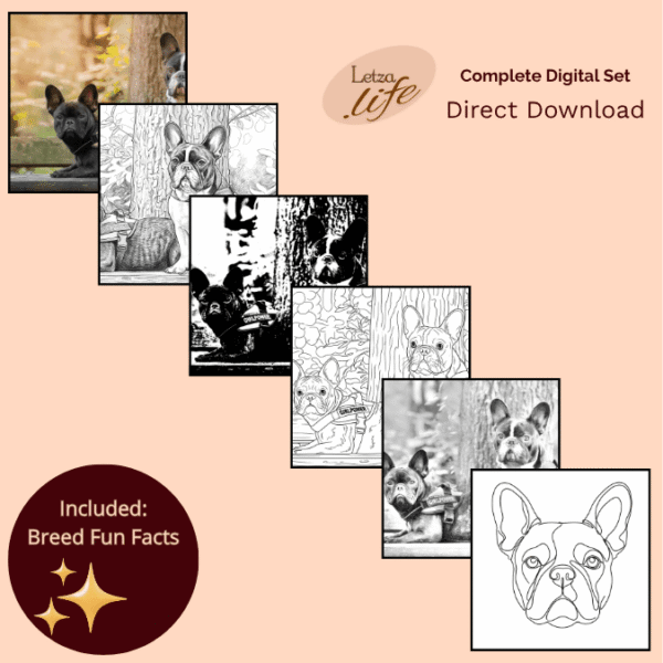 Inhoud overzicht artist pack franse bulldog voor tekenen, schilderen, pyrografie en digitale kunst