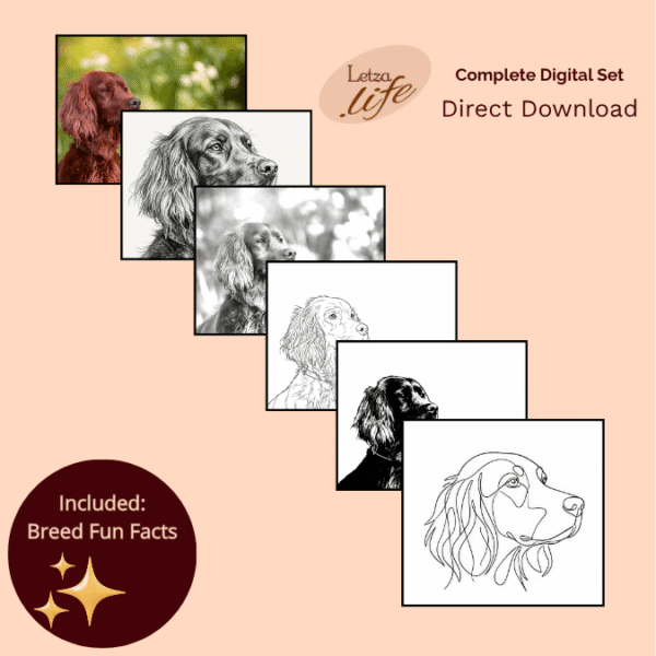 Inhoud overzicht artist pack ierse setter voor tekenen, schilderen, pyrografie en digitale kunst