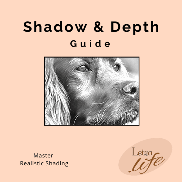 Shadow and Depth Guide ierse setter voor realistische kunstportretten