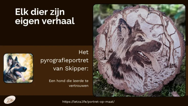 Pyrografieportret hond op maat — originele foto en handgebrand portret van Duitse Herder Skipper op berkenhout boomschijf