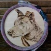 Handgemaakte herinneringscirkel in pyrografie van een Mechelse herder, omlijst met de eigen halsband van de hond