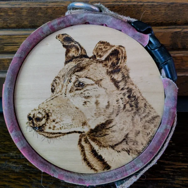 Handgemaakte herinneringscirkel in pyrografie van een Mechelse herder, omlijst met de eigen halsband van de hond